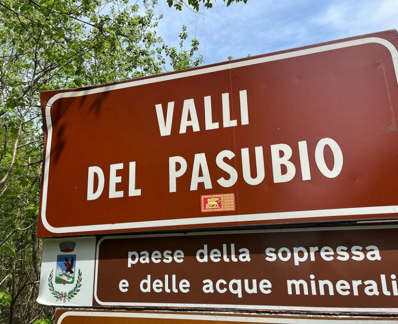 283554089_182584170789518_7904468567332771002_n bassa